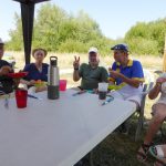 picnic11